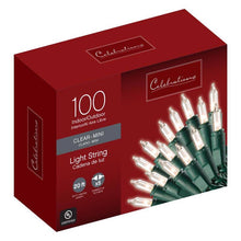 Load image into Gallery viewer, Celebrations Indoor/Outdoor Mini Lights, 100 Bulbs, Clear with Green Wire, 22.5'