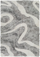 Load image into Gallery viewer, Surya Alta Shag ASG-2303 5'3" x 7' Rug